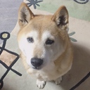 素顔の部屋